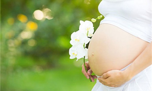 孕妇能吃燕窝吗网 - 网站提供几个月后能吃小常识、孕妇能吃燕窝吗?对胎儿有没有影响