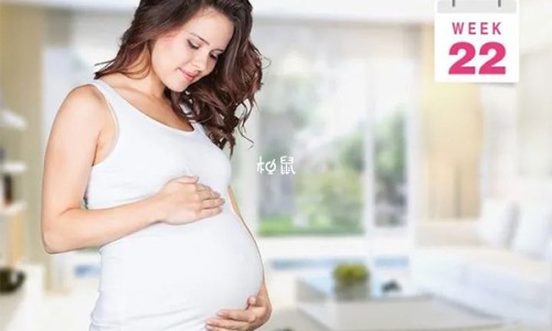 孕妇能吃燕窝吗网 - 网站提供几个月后能吃小常识、孕妇能吃燕窝吗?对胎儿有没有影响